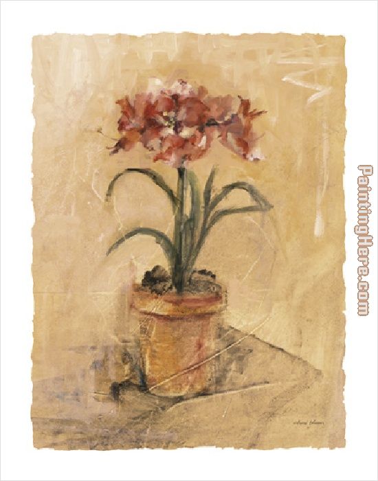 Secret Amaryllis I